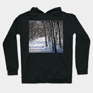 Trail through the trees. Hoodie